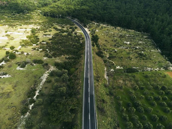 空中俯瞰着一条有橄榄树的弧形大道 — 图库照片