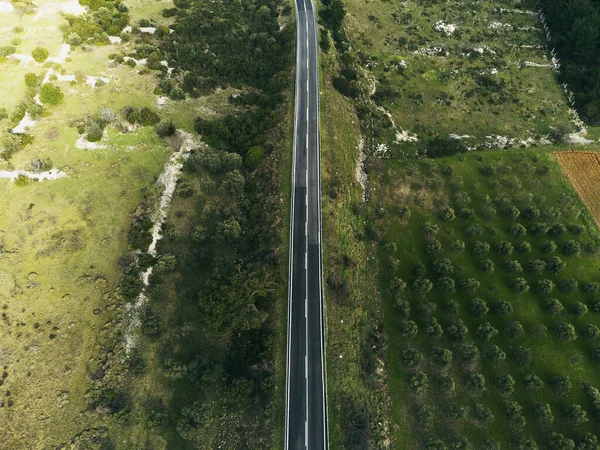 乡间小路的顶部 有一些草地和橄榄树 — 图库照片