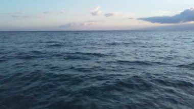 Deniz arka planında uçuyor..