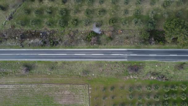 Zeytin Ağaçlı Mavi Arabalı Bir Yol Manzarası Yolda Ilerliyor — Stok video