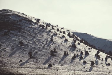 Karlı ve mavi gökyüzü olan dağların manzarası.