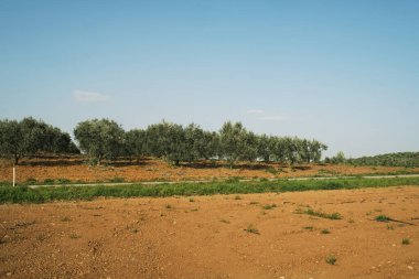 Yeşil arasında bir yol manzarası.
