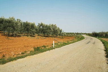 Yeşil arasında bir yol manzarası.
