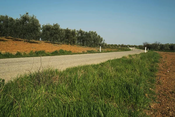 Yeşil arasında bir yol manzarası.