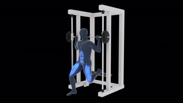 这个3D动画展示的是一个X光师在多能训练中 用蓝色突出的肌肉 表演牛群分开蹲的动作 — 图库视频影像