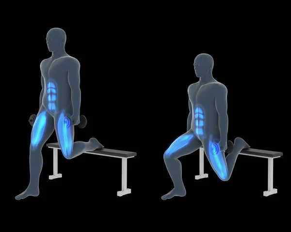 这个3D的例子展示了一个X光师在黑色背景下 用蓝色突出的参与其中的肌肉进行了隆起 哑铃运动 — 图库照片