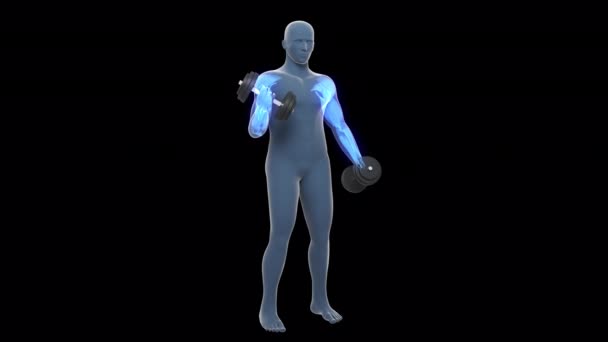 Esta Animación Muestra Hombre Rayos Realizando Ejercicios Curl Bíceps Mancuerna — Vídeos de Stock