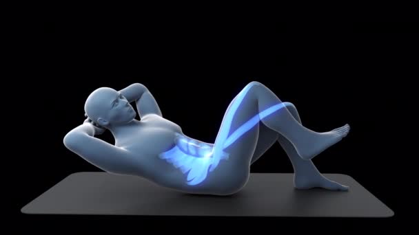 Animasyon Bir Röntgencinin Mavi Renkte Çizilmiş Kaslarıyla Yer Egzersizi Yaptığını — Stok video