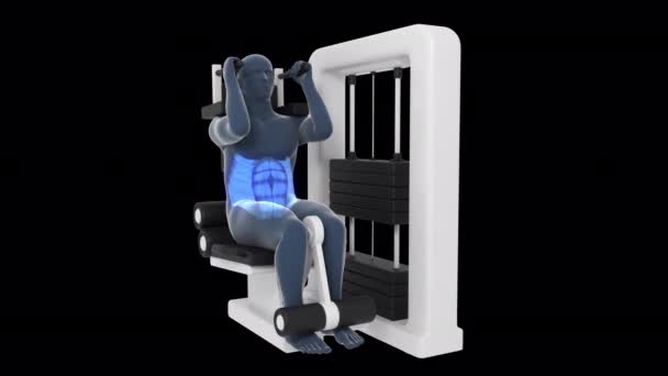 Animation Shows Xray Man Performing Abdominal Machine Workout Involved Muscles — Stock Video