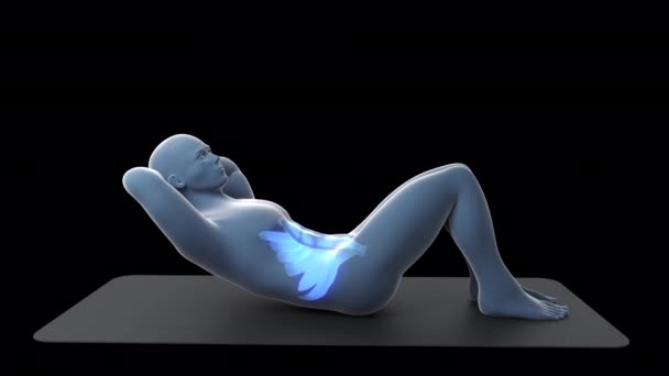 Cette Animation Montre Homme Rayons Effectuant Entraînement Croquant Sol Avec — Video