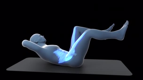 Animation Shows Xray Man Performing Criss Cross Floor Workout Involved — Vídeo de Stock