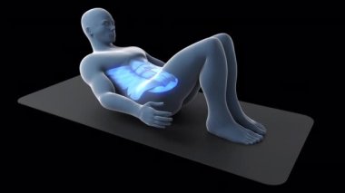 This 3d animation shows an xray man performing  crunch ankle touch workout with involved muscles highlighted in blue
