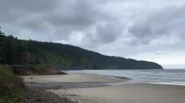 Classic Pacific Northwest coast scene with dense forest at the coast on a cloudy day. Two waterfalls flow directly onto the beach. Cape Lookout State Park - Oregon.