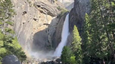 Classic view of Lower Yosemite Falls surrounded by Sierra Nevada granite and beautiful trees. Taken early morning in Spring with the water at peak flow. Yosemite National Park - California