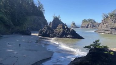 A lone man walks across the sand in front of the Pacific Ocean and the beautiful sea stacks at Secret Beach as the waves lap on the shore. Samuel H Boardman Scenic Corridor, Brookings - Oregon
