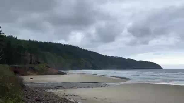 Classic Pacific Northwest Coast Scene Dense Forest Coast Cloudy Day — Vídeos de Stock