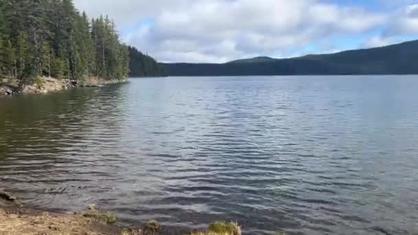 Water Ripples Gently Late Spring Paulina Lake Trees Mountains Background — Stock video