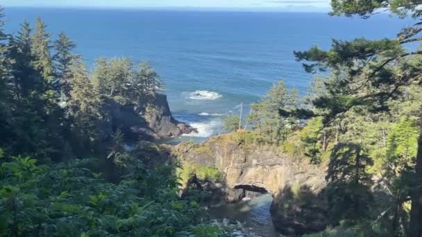 Person Stands Distance Natural Rock Bridge Surrounded Forest Pacific Ocean — Stok Video