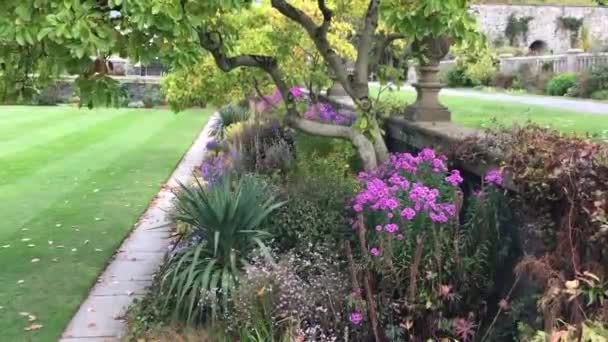 Flowerbed Terraces Bodnant Autumn Flowers Blooming Conwy North Wales — Stock video