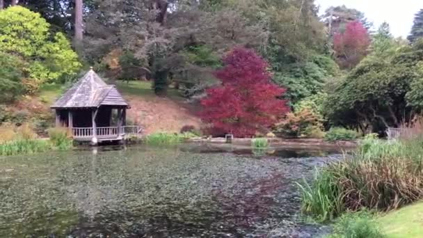 Skating Pond Bodnant Gardens Trees Boat House Background Taken Autumn — Stok video