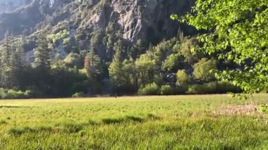 Zumwalt Meadows 'un açık otları King' s Canyon Ulusal Parkı 'nın yüksek granit kayalıklarıyla çevrilidir. Güneşli bir bahar gününde şafaktan hemen sonra çekildi - Kaliforniya, ABD