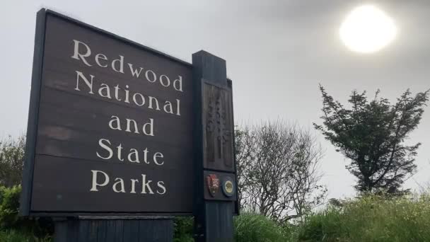 Μεγάλη Ξύλινη Πινακίδα Εισόδου Στο Redwood National State Parks Trinidad — Αρχείο Βίντεο