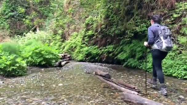 Kobieta Przemierza Strumień Przy Stromych Bujnych Zielonych Ścianach Kanionu Fern — Wideo stockowe