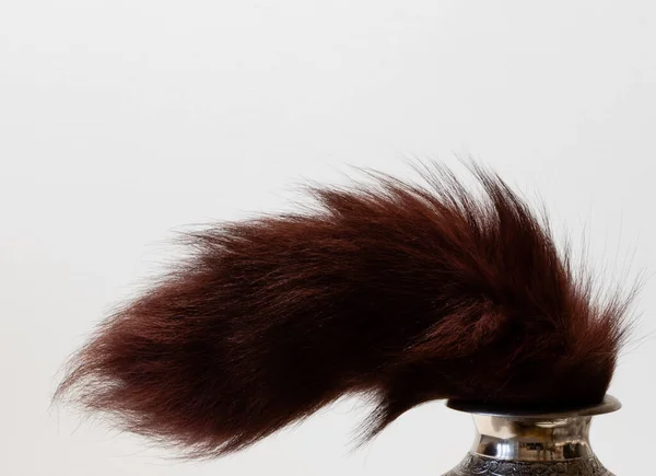 Chestnut tail of furry animal sticking out of silver jug on white background — Stockfoto