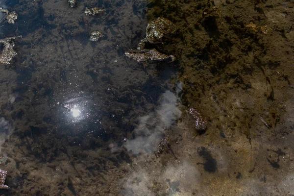 池の透明な水の中に太陽光の反射 池の底のブリリーの背景を閉じる — ストック写真