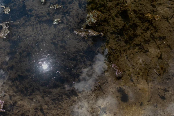 Reflectie Van Zonlicht Doorzichtig Vijverwater Wazige Achtergrond Van Vijver Bodem — Stockfoto