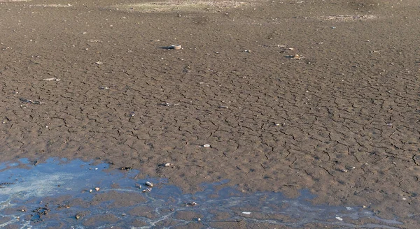 干涸的湖底 有裂开的地面和未知动物的踪迹 — 图库照片