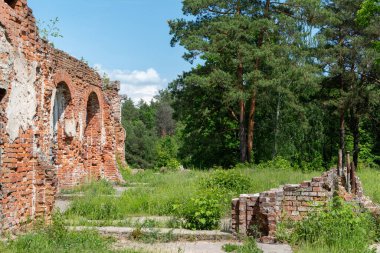 Vahşi yeşil ormanda mavi gökyüzüne karşı eski tuğla evin kalıntıları.