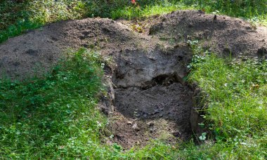 Freshly dug pit in the middle of green grass in meadow