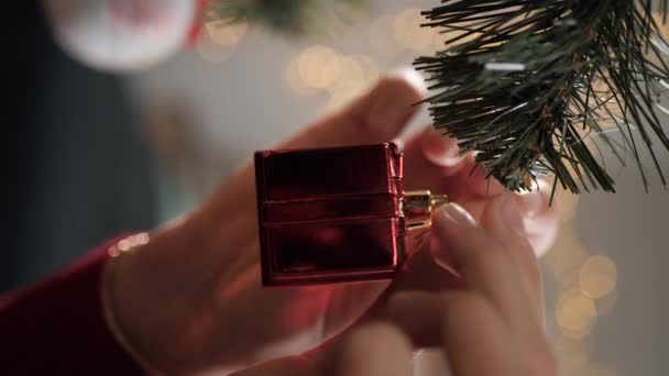 Decorare l'albero di Natale. Vista verticale di mani femminili in maglione rosso ha messo giocattoli di Natale su ramo di albero di Natale. Primo piano e rallentatore — Video Stock