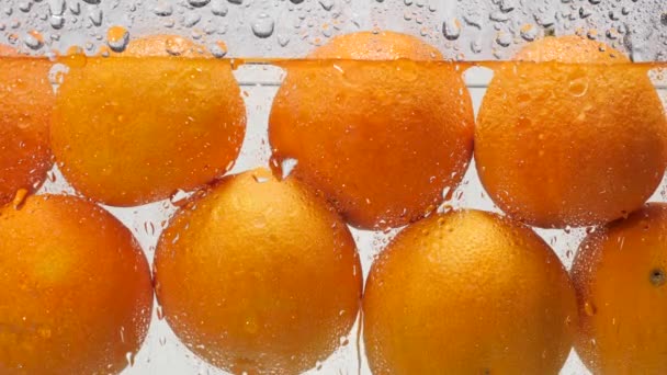 Tangerinky ve vodě. Kapky vody stékají po skle, za nímž na bílém pozadí leží mandarinky. Zpomalený pohyb a detailní záběr — Stock video