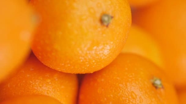 Tangerines close up. Vertical video of camera moves slowly among beautiful fresh juicy tangerines — стокове відео