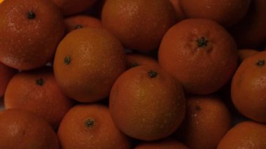 Taze mandalina. Birkaç mandalina yakından güneş ışığının yavaşça geçtiği