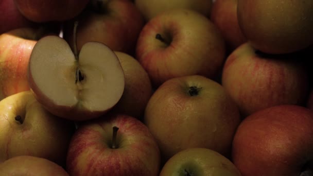 Fruta de manzanas. El rayo de sol pasa sobre manzanas frescas a la sombra — Vídeos de Stock