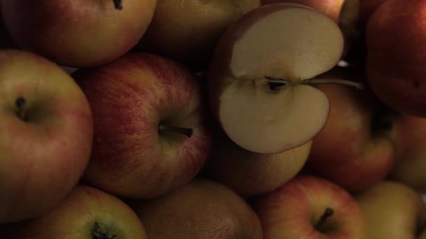Des pommes. Vidéo verticale du rayon de soleil passe sur des pommes fraîches couchées à l'ombre — Video