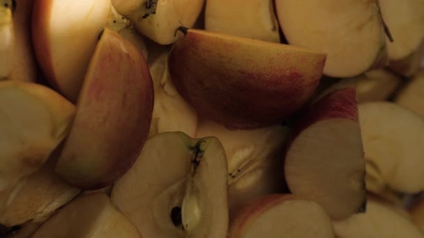 Нарізане яблуко. Вертикальне відео променя падає на нарізані шматочки яблука — стокове відео