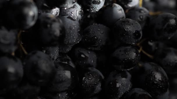 Uva. Vista vertical de primer plano del haz de luz solar pasa lentamente sobre hermosas uvas negras en sombra — Vídeos de Stock