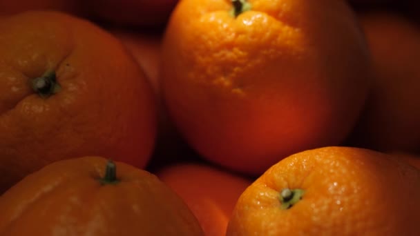 Pomerančové ovoce. Kamera se pomalu zvedá a ukazuje pomeranče ve stínu, na které paprsky slunečního světla krásně dopadají. Detailní záběr — Stock video