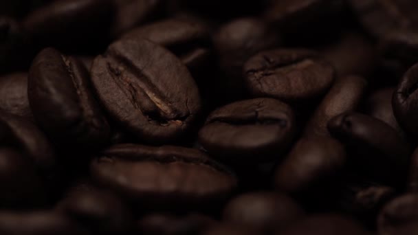 Koffiebonen. Straal van licht stopt en onthult mooie gebrande koffiebonen. Macro-injectie — Stockvideo