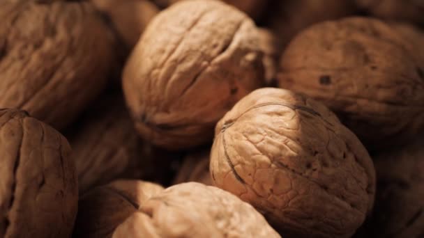 Walnuts. Close-up of walnuts in shadow on which ray of sunlight falls, camera slowly moves down to show nuts — Stock Video