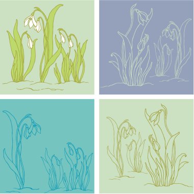 Bahar kardelen çiçeği