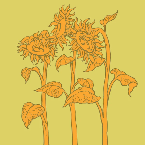 Tournesol — Image vectorielle