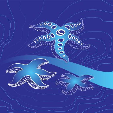 bir arka plan üzerinde starfishes 