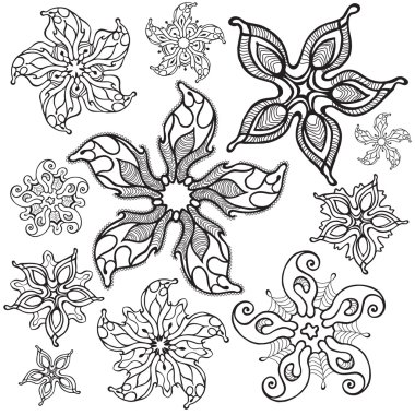 starfishes