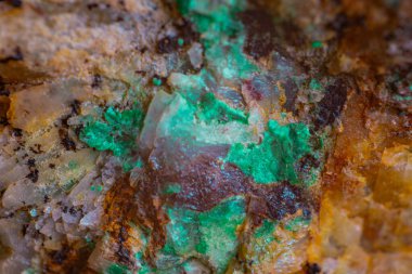 Kahverengi kuvars çeşitliliğinde yeşil Gildmanite minerali.