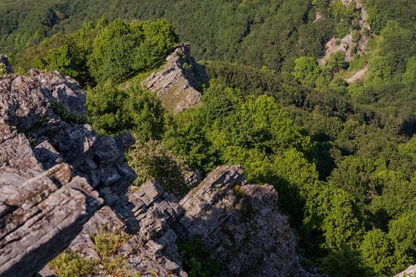 这座山的岩石峰从森林中突现出来 — 图库照片